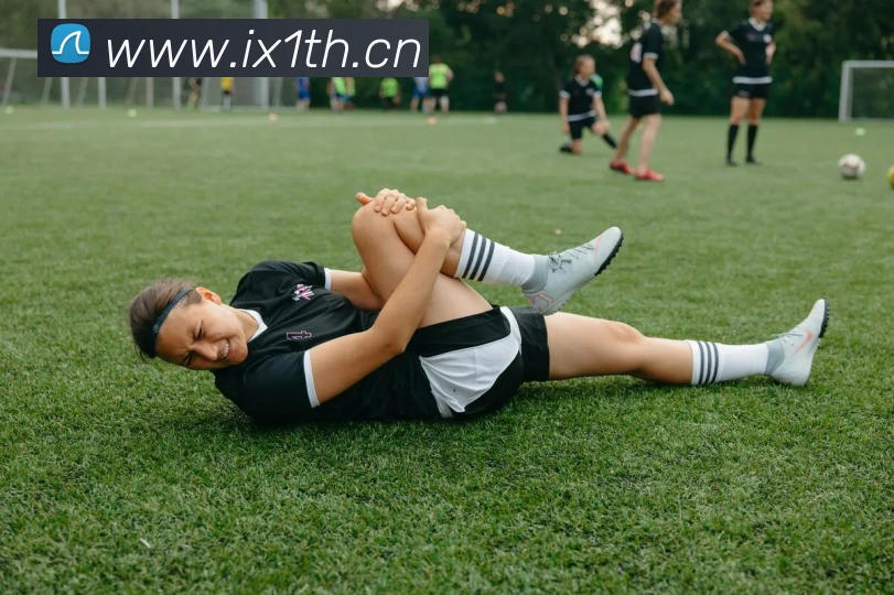 leyu乐鱼网址发展历程